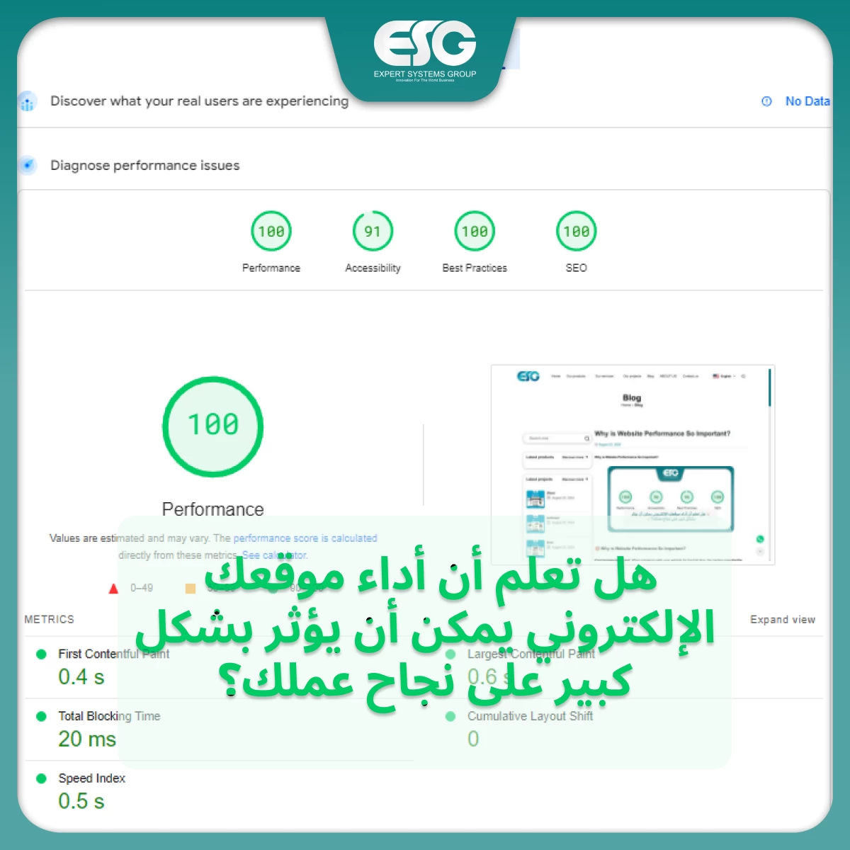 🎯 Why is Website Performance So Important?